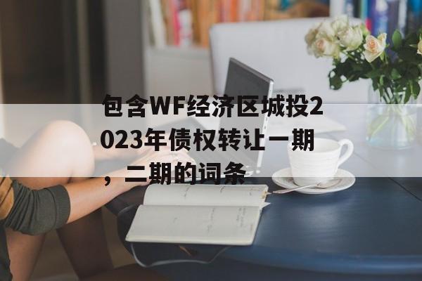 包含WF经济区城投2023年债权转让一期，二期的词条