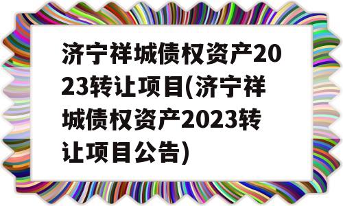 济宁祥城债权资产2023转让项目(济宁祥城债权资产2023转让项目公告)