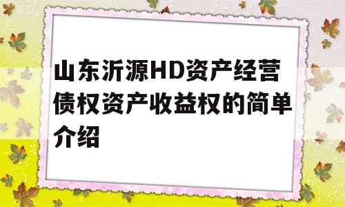 山东沂源HD资产经营债权资产收益权的简单介绍