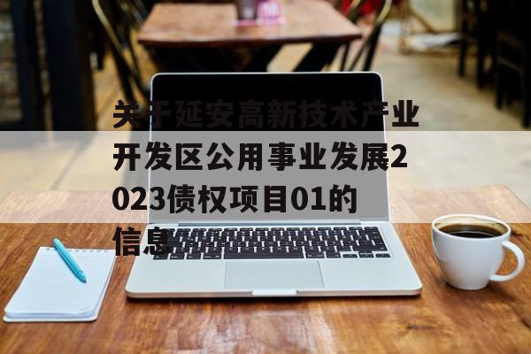 关于延安高新技术产业开发区公用事业发展2023债权项目01的信息