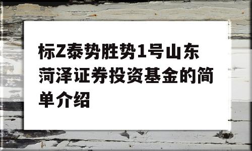 标Z泰势胜势1号山东菏泽证券投资基金的简单介绍