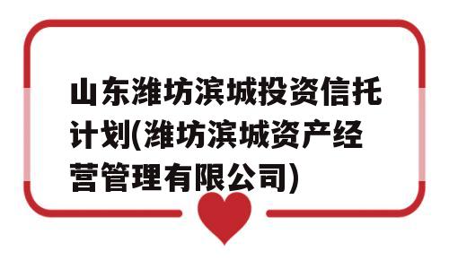 山东潍坊滨城投资信托计划(潍坊滨城资产经营管理有限公司)