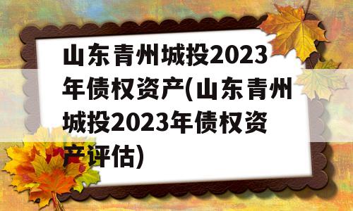 山东青州城投2023年债权资产(山东青州城投2023年债权资产评估)