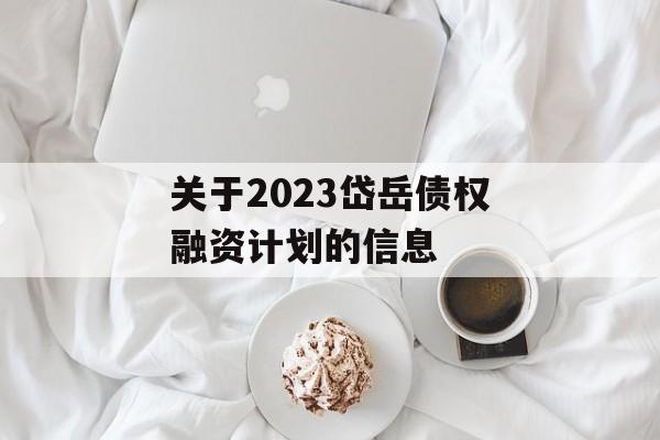 关于2023岱岳债权融资计划的信息