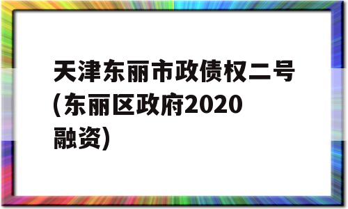 天津东丽市政债权二号(东丽区政府2020融资)