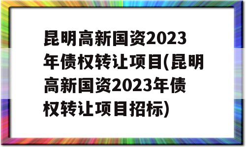 昆明高新国资2023年债权转让项目(昆明高新国资2023年债权转让项目招标)