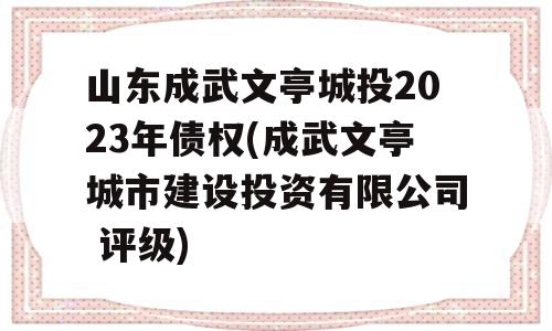 山东成武文亭城投2023年债权(成武文亭城市建设投资有限公司 评级)