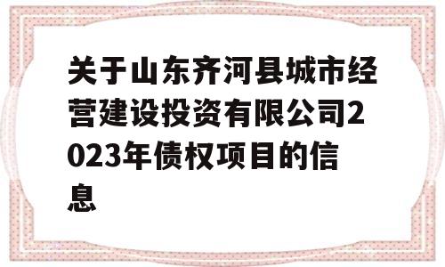 关于山东齐河县城市经营建设投资有限公司2023年债权项目的信息