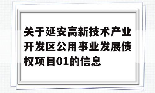 关于延安高新技术产业开发区公用事业发展债权项目01的信息