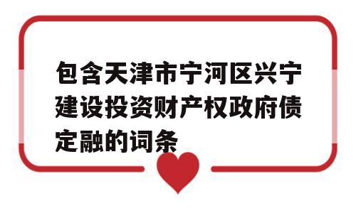 包含天津市宁河区兴宁建设投资财产权政府债定融的词条