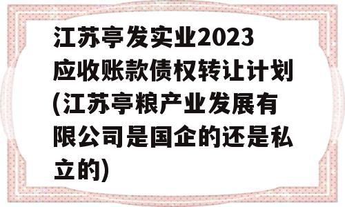 江苏亭发实业2023应收账款债权转让计划(江苏亭粮产业发展有限公司是国企的还是私立的)