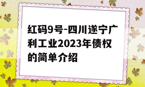 红码9号-四川遂宁广利工业2023年债权的简单介绍