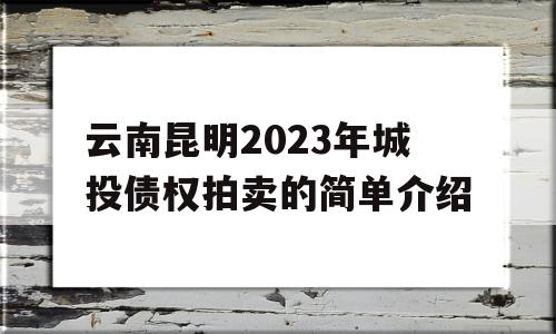 云南昆明2023年城投债权拍卖的简单介绍