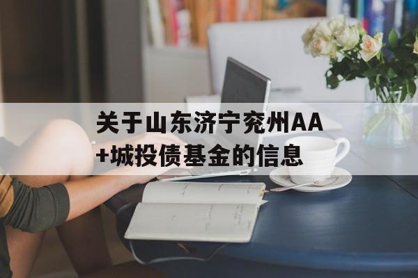 关于山东济宁兖州AA+城投债基金的信息