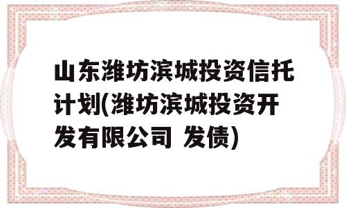 山东潍坊滨城投资信托计划(潍坊滨城投资开发有限公司 发债)