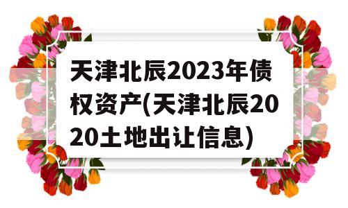 天津北辰2023年债权资产(天津北辰2020土地出让信息)