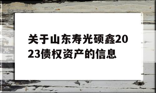 关于山东寿光硕鑫2023债权资产的信息