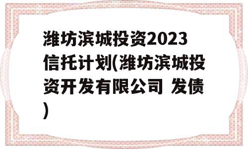 潍坊滨城投资2023信托计划(潍坊滨城投资开发有限公司 发债)