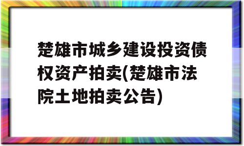 楚雄市城乡建设投资债权资产拍卖(楚雄市法院土地拍卖公告)