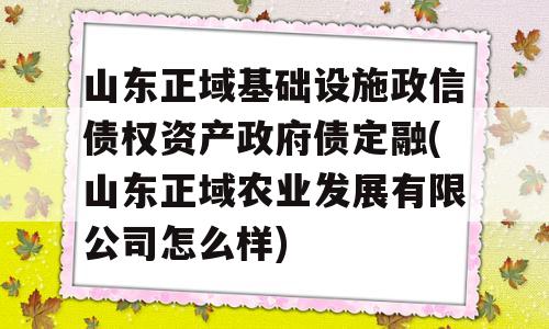 山东正域基础设施政信债权资产政府债定融(山东正域农业发展有限公司怎么样)