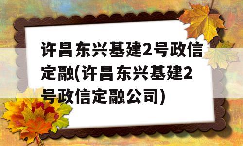 许昌东兴基建2号政信定融(许昌东兴基建2号政信定融公司)