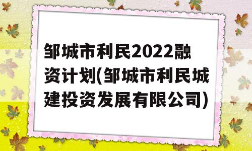 邹城市利民2022融资计划(邹城市利民城建投资发展有限公司)