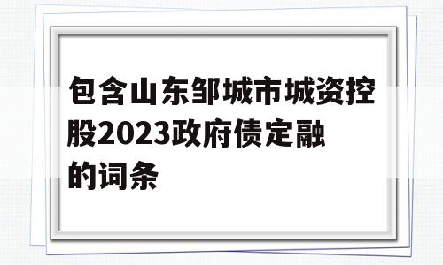 包含山东邹城市城资控股2023政府债定融的词条