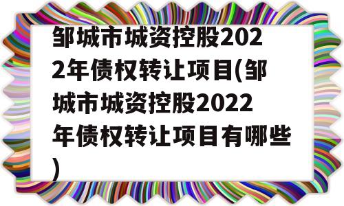 邹城市城资控股2022年债权转让项目(邹城市城资控股2022年债权转让项目有哪些)