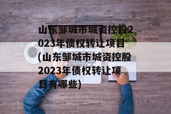 山东邹城市城资控股2023年债权转让项目(山东邹城市城资控股2023年债权转让项目有哪些)