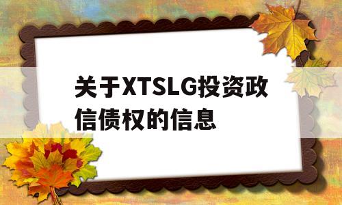 关于XTSLG投资政信债权的信息