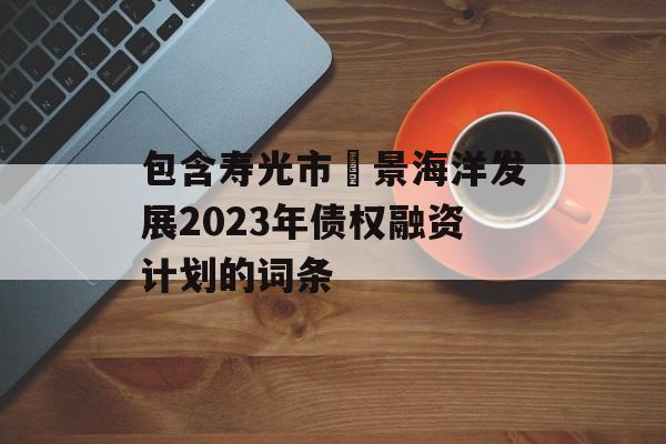 包含寿光市昇景海洋发展2023年债权融资计划的词条