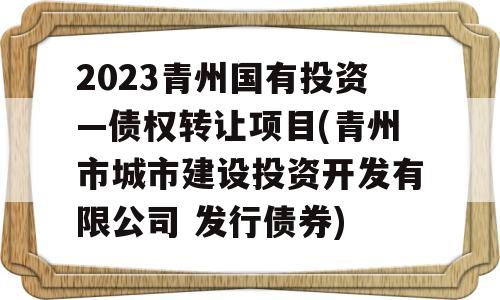 2023青州国有投资—债权转让项目(青州市城市建设投资开发有限公司 发行债券)