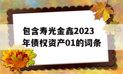 包含寿光金鑫2023年债权资产01的词条