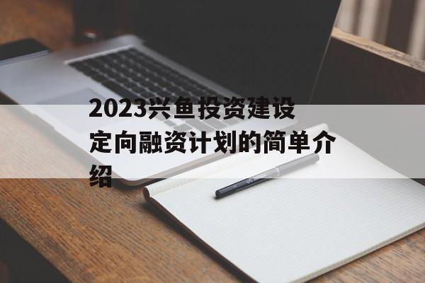 2023兴鱼投资建设定向融资计划的简单介绍