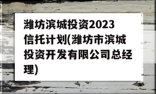 潍坊滨城投资2023信托计划(潍坊市滨城投资开发有限公司总经理)