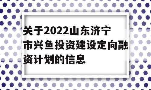 关于2022山东济宁市兴鱼投资建设定向融资计划的信息