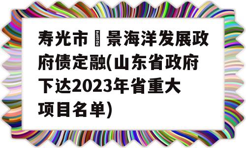 寿光市昇景海洋发展政府债定融(山东省政府下达2023年省重大项目名单)