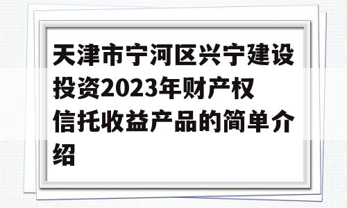 天津市宁河区兴宁建设投资2023年财产权信托收益产品的简单介绍