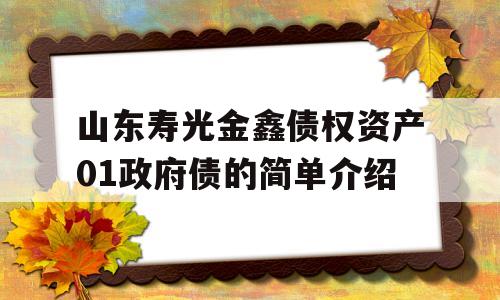 山东寿光金鑫债权资产01政府债的简单介绍