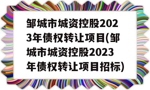 邹城市城资控股2023年债权转让项目(邹城市城资控股2023年债权转让项目招标)