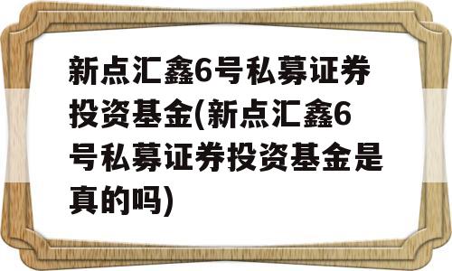 新点汇鑫6号私募证券投资基金(新点汇鑫6号私募证券投资基金是真的吗)