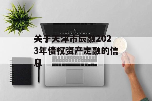 关于天津市辰融2023年债权资产定融的信息