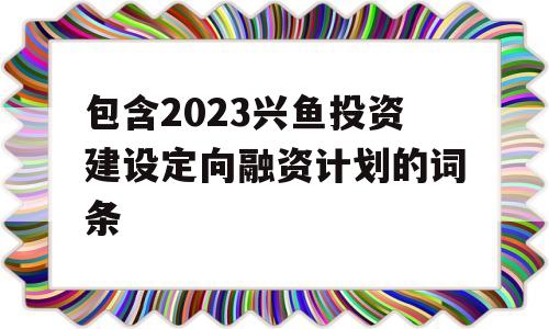 包含2023兴鱼投资建设定向融资计划的词条