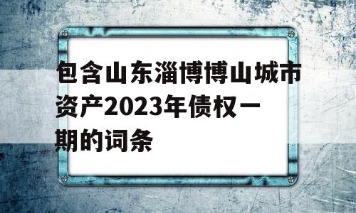 包含山东淄博博山城市资产2023年债权一期的词条