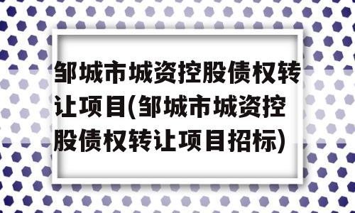 邹城市城资控股债权转让项目(邹城市城资控股债权转让项目招标)