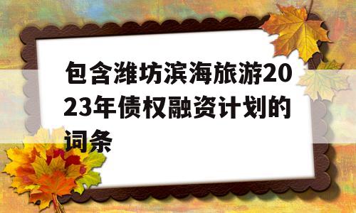 包含潍坊滨海旅游2023年债权融资计划的词条