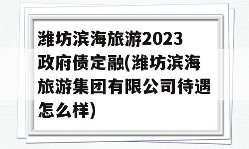 潍坊滨海旅游2023政府债定融(潍坊滨海旅游集团有限公司待遇怎么样)