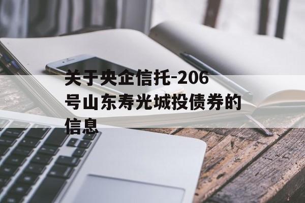 关于央企信托-206号山东寿光城投债券的信息