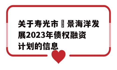 关于寿光市昇景海洋发展2023年债权融资计划的信息