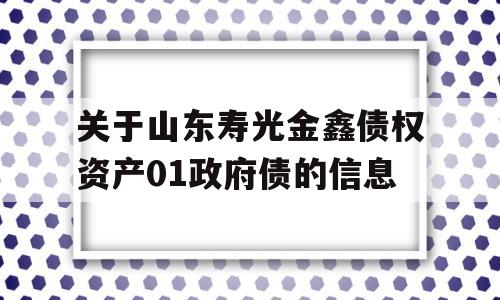 关于山东寿光金鑫债权资产01政府债的信息